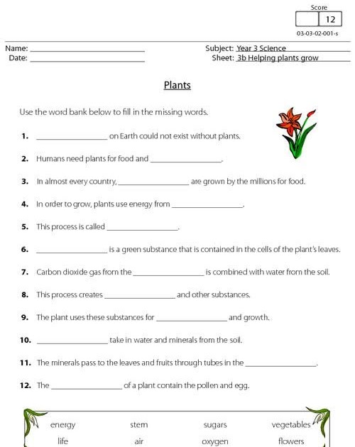 Teach Child How To Read Science Worksheets For Grade 5 Plants