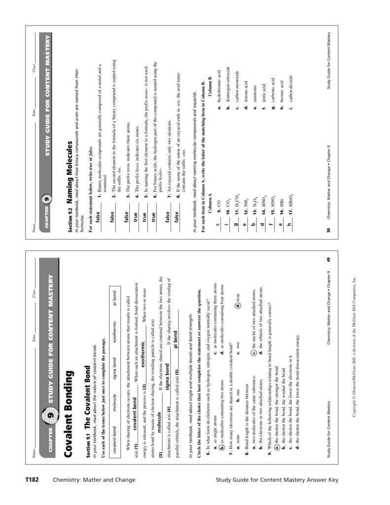 Teaching Transparency Worksheet Made Easy for Educators