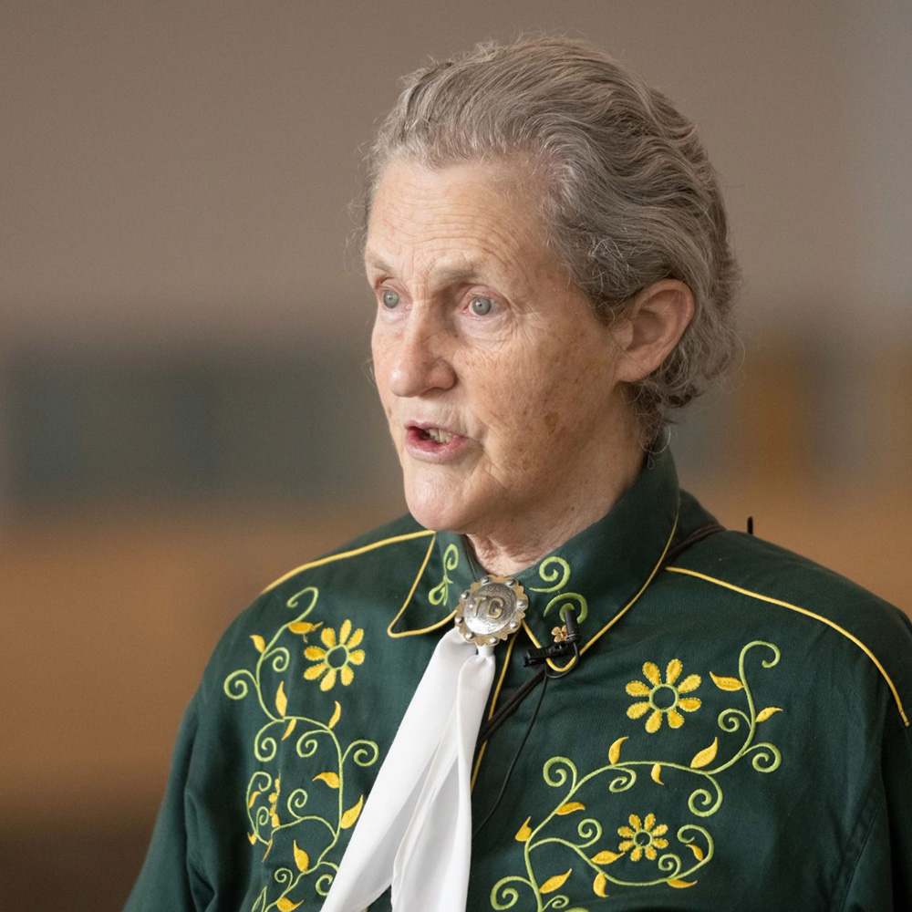 5 Life Lessons from Temple Grandin Movie