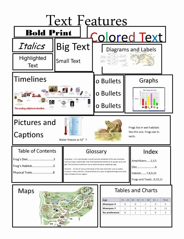 5 Essential Text Features for 3rd Grade Readers