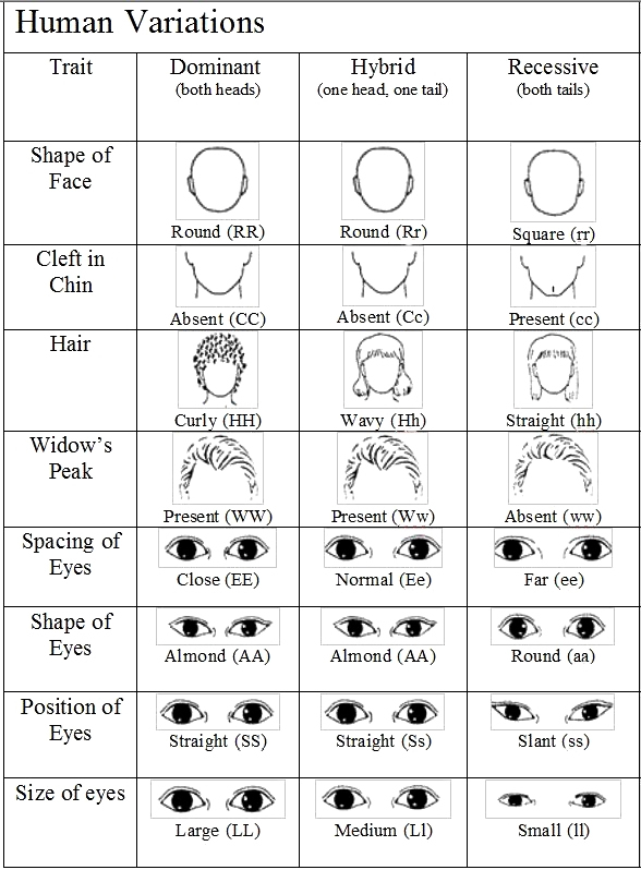 5 Ways Skin Color is Determined by Biology