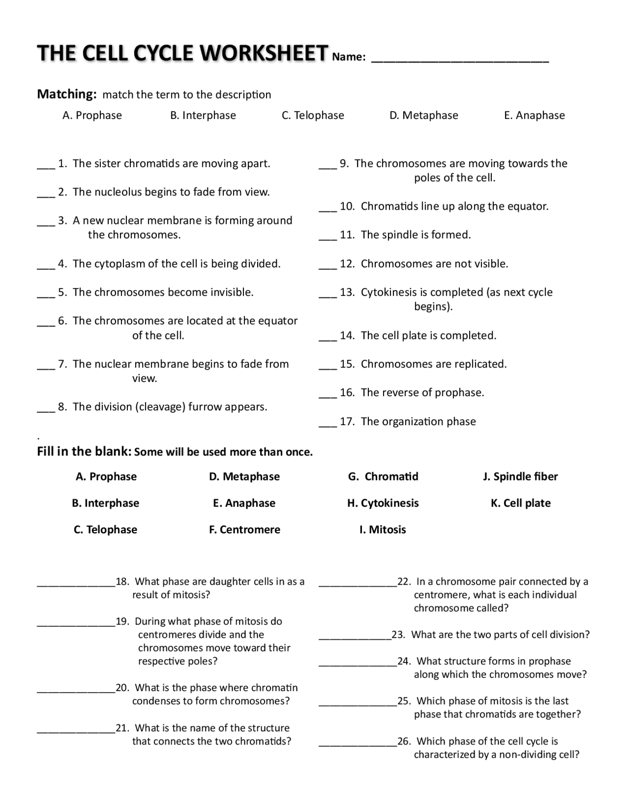 5 Key Stages of the Cell Cycle Coloring Worksheet