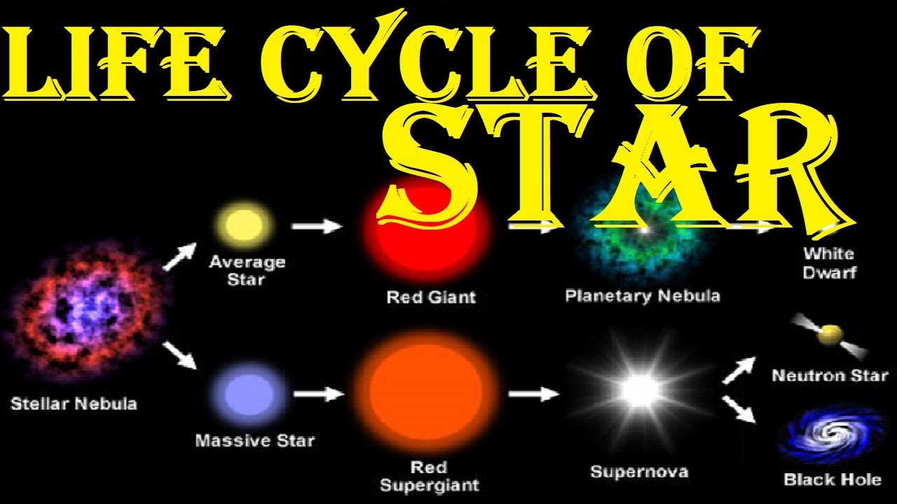 7 Stages of a Star's Life Cycle