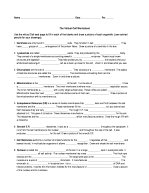 Virtual Cell Worksheet Answer Key for Biology Students