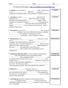 5 Ways to Explore The Virtual Cell Worksheet