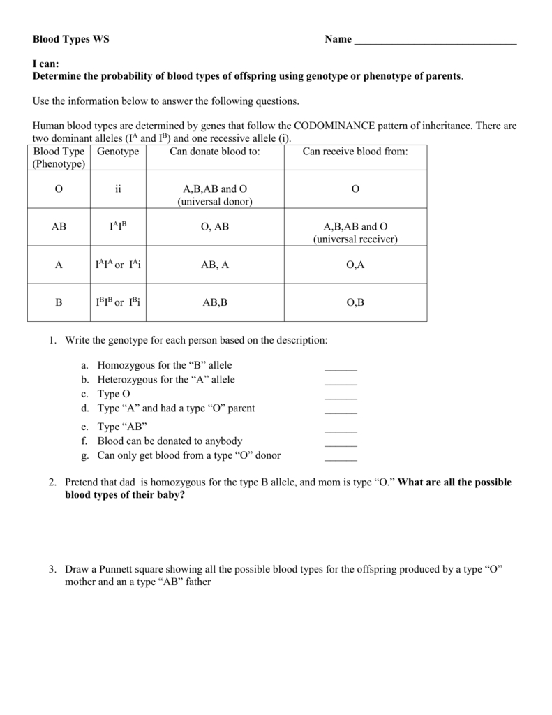 5 Ways to Understand the World of Blood Worksheet