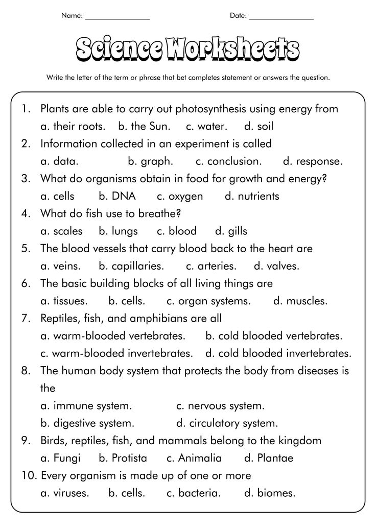 6 Fun Third Grade Science Worksheets