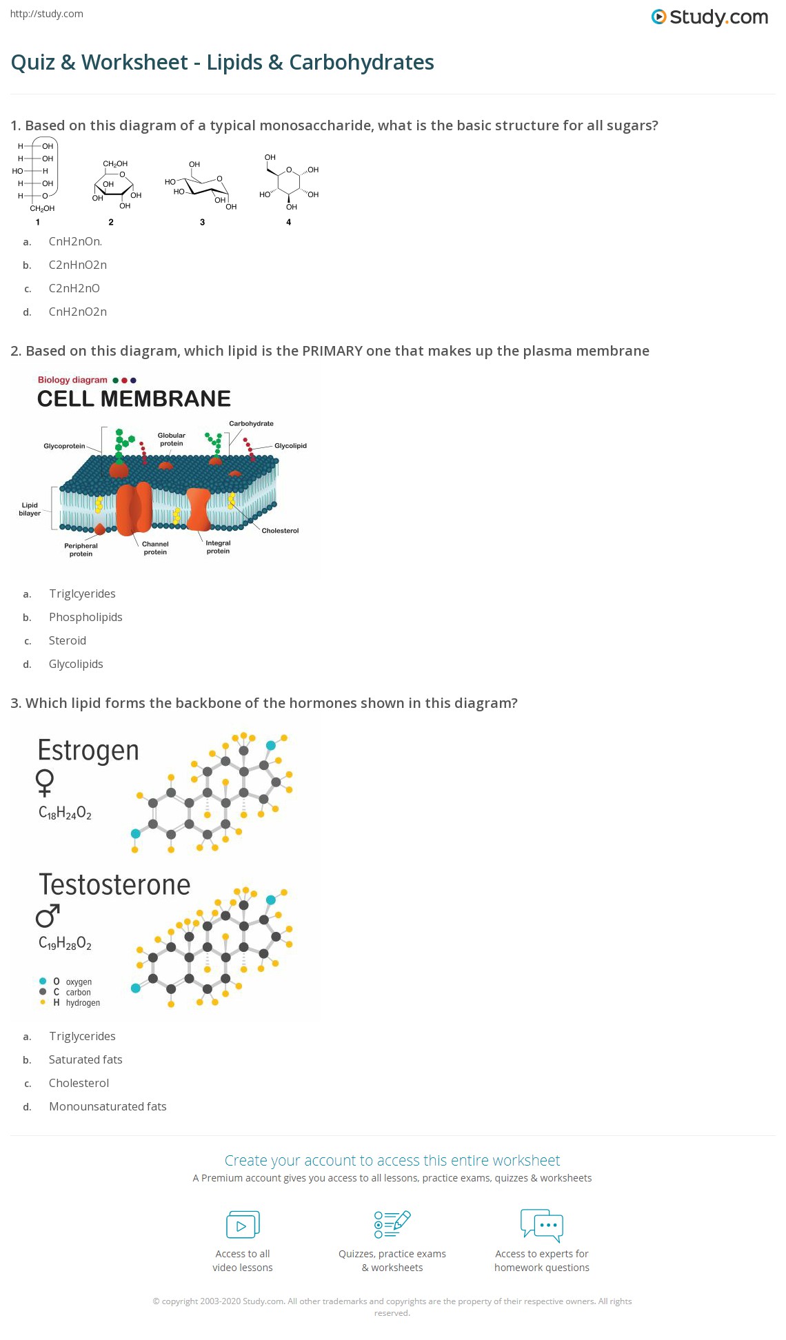 Topic 2 3 Worksheet Answers 2 Carbohydrates And Lipids Carbohydrates Outline The Structural Studocu