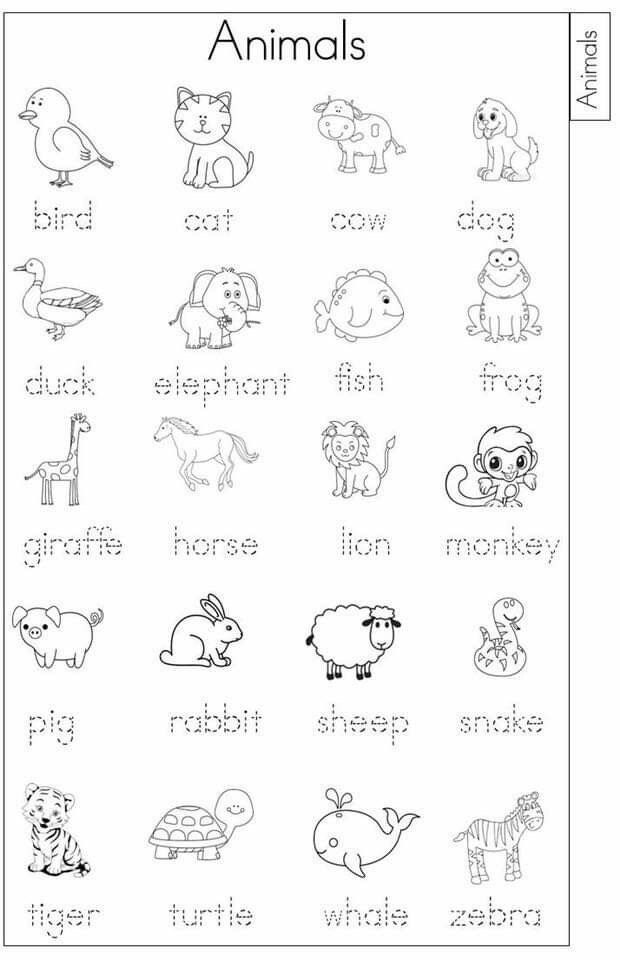 Trace Words Worksheet Etsy