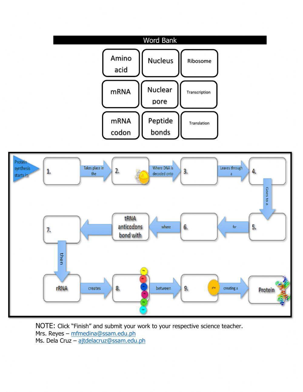 7 Tips to Ace Your Transcription and Translation Worksheet