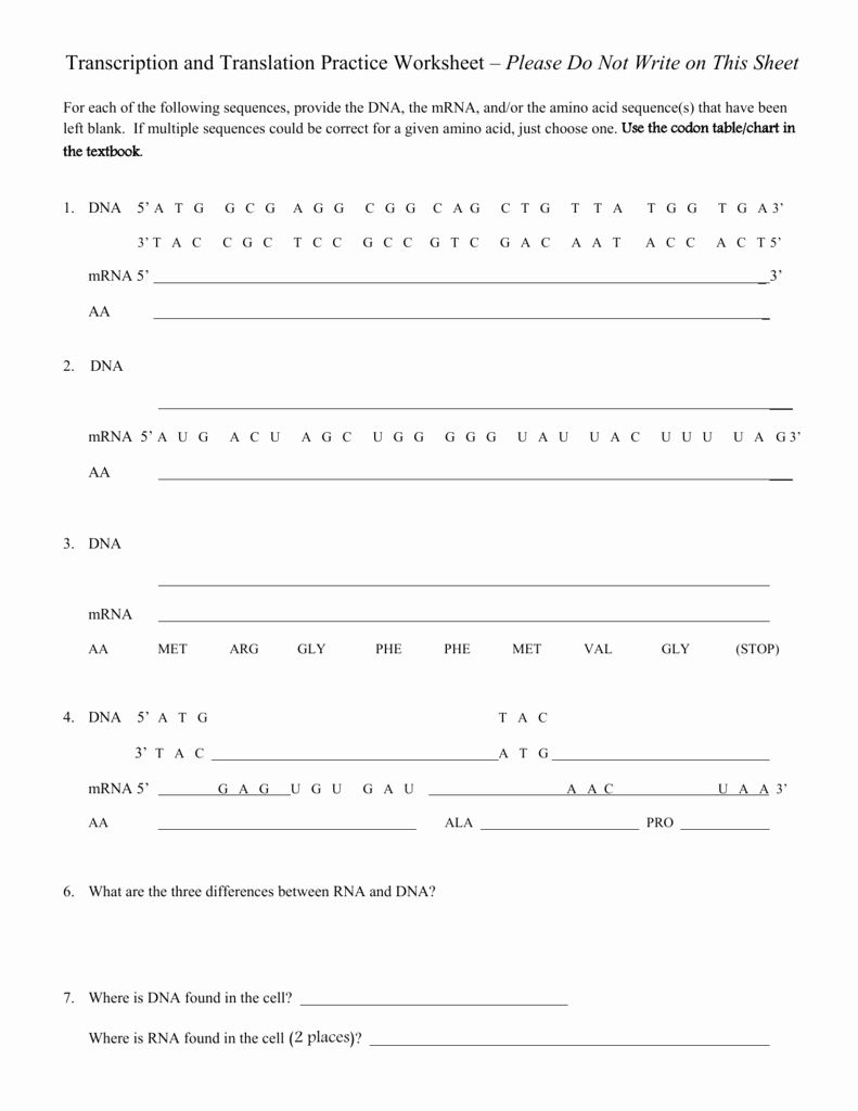 Mastering Genetics: Transcription and Translation Worksheet