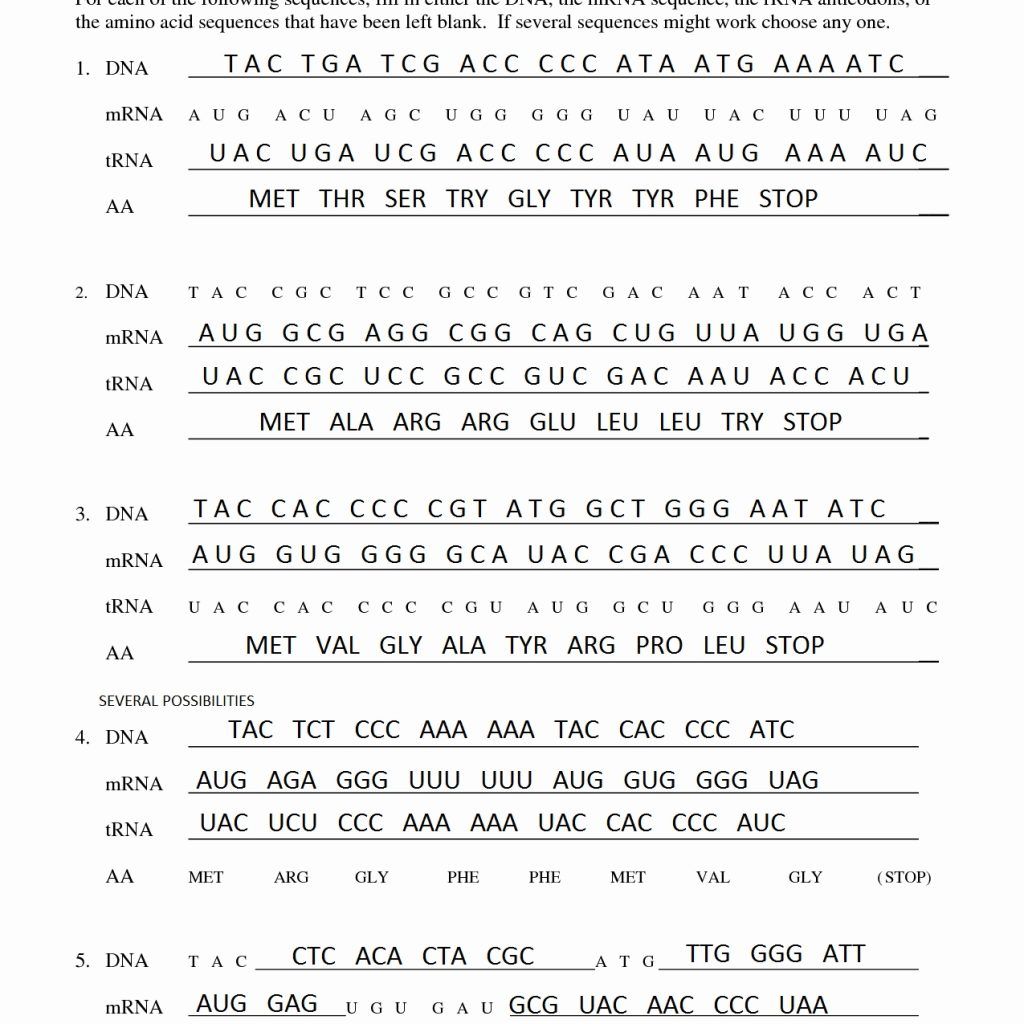 Translation Worksheet Answer Key Made Easy