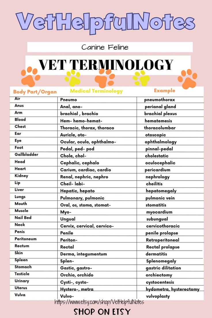 Vet Tech Cheat Sheets Pdf