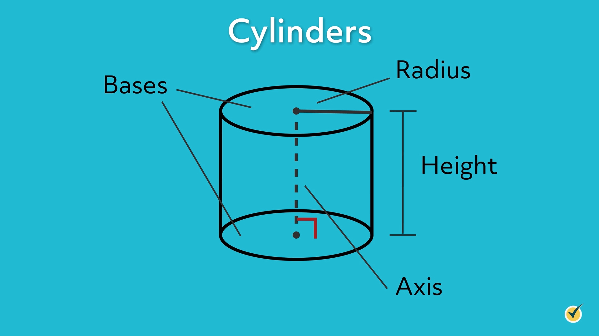 Volume And Surface Area Of A Cylinder Class 6 Worksheet Etutorworld