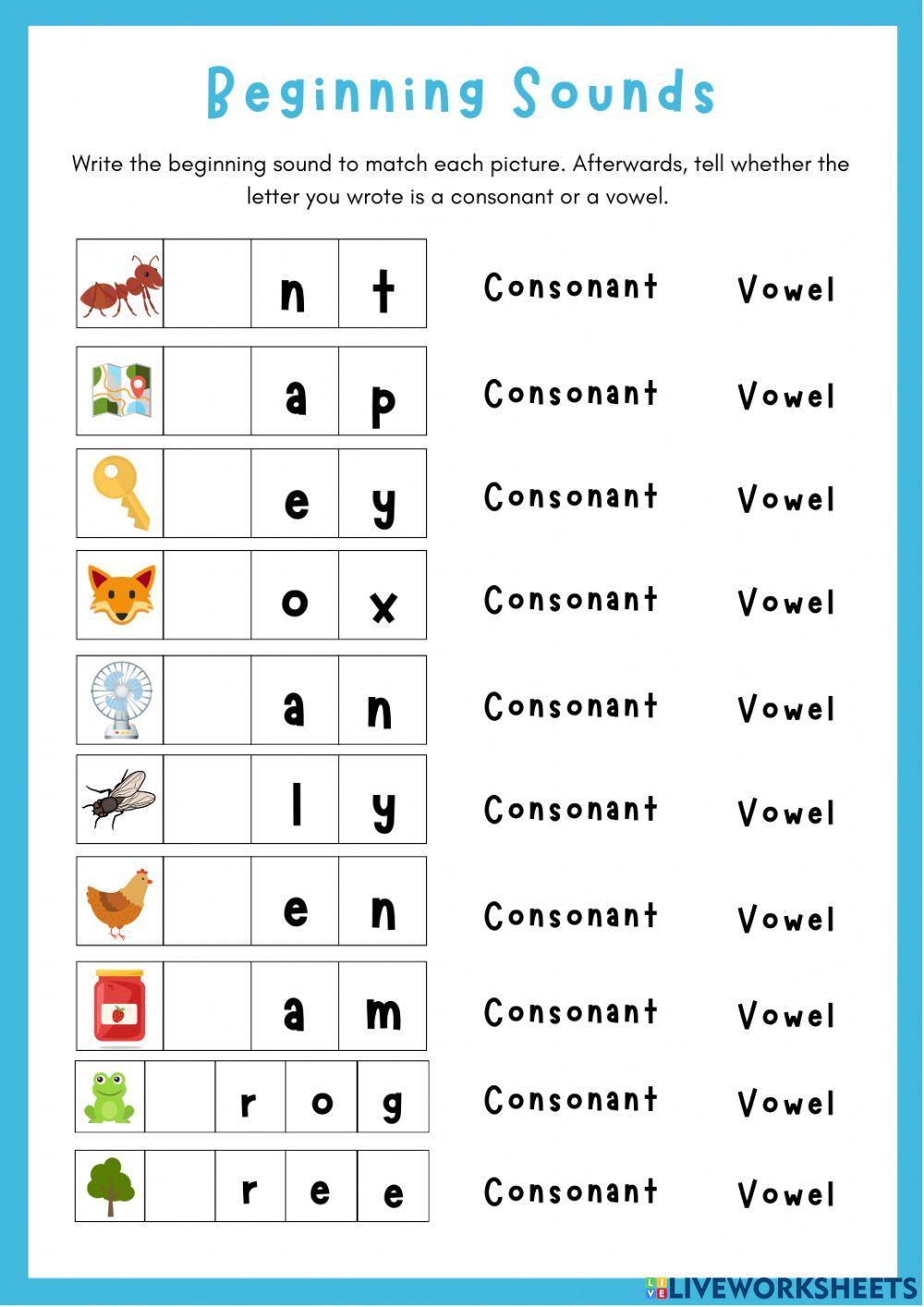 Vowels and Consonants Worksheet for Kids