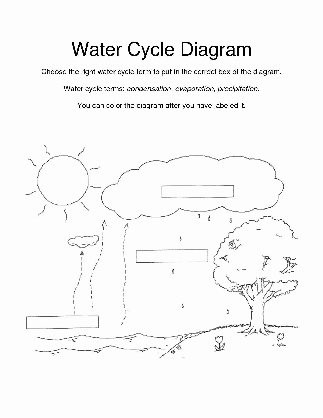 5 Ways to Master Water Carbon and Nitrogen Cycles