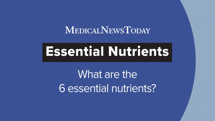 What Are The 6 Essential Nutrients