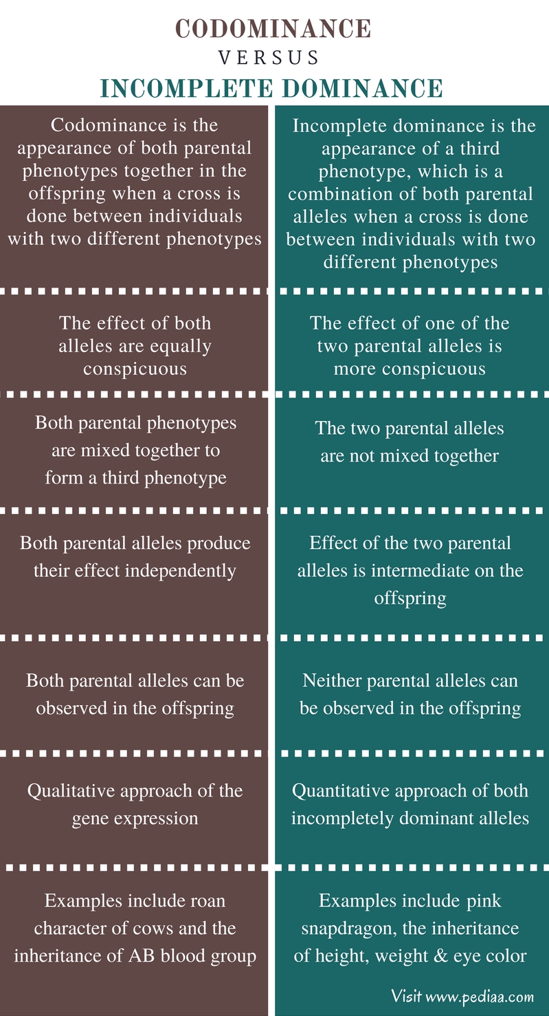 What Is The Difference Between Incomplete And Codominance