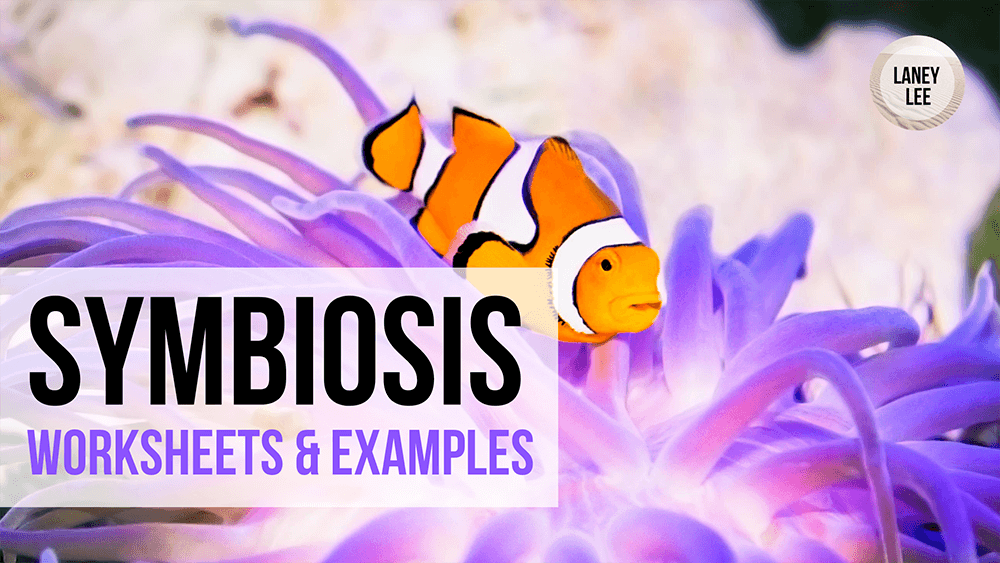 Symbiosis Types: Which One is It Worksheet Answer