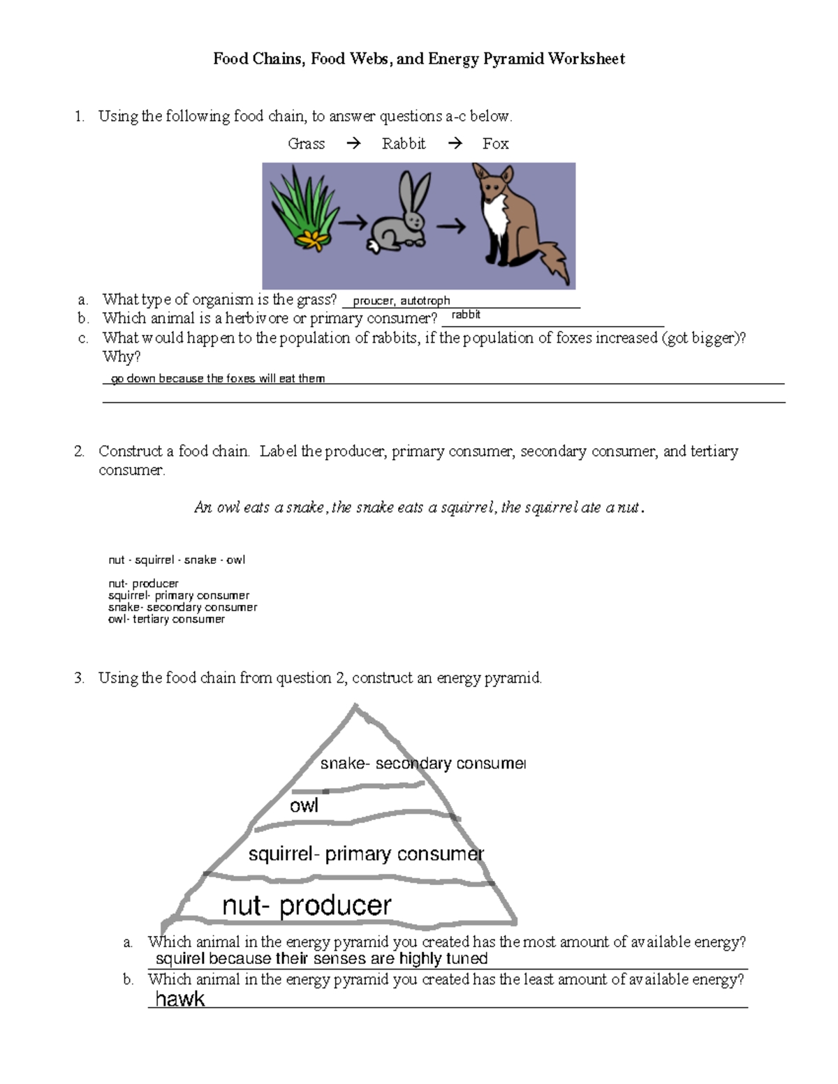 Worksheet Food Chain