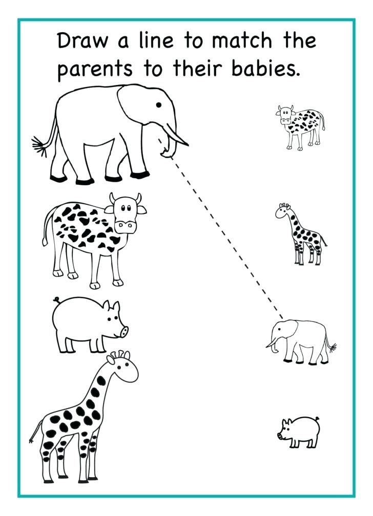 Worksheet For Kindergarten Pdf