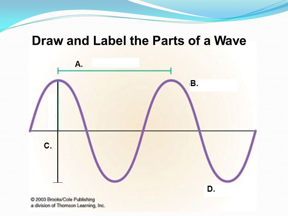 Worksheet Labeling Waves Answer Key