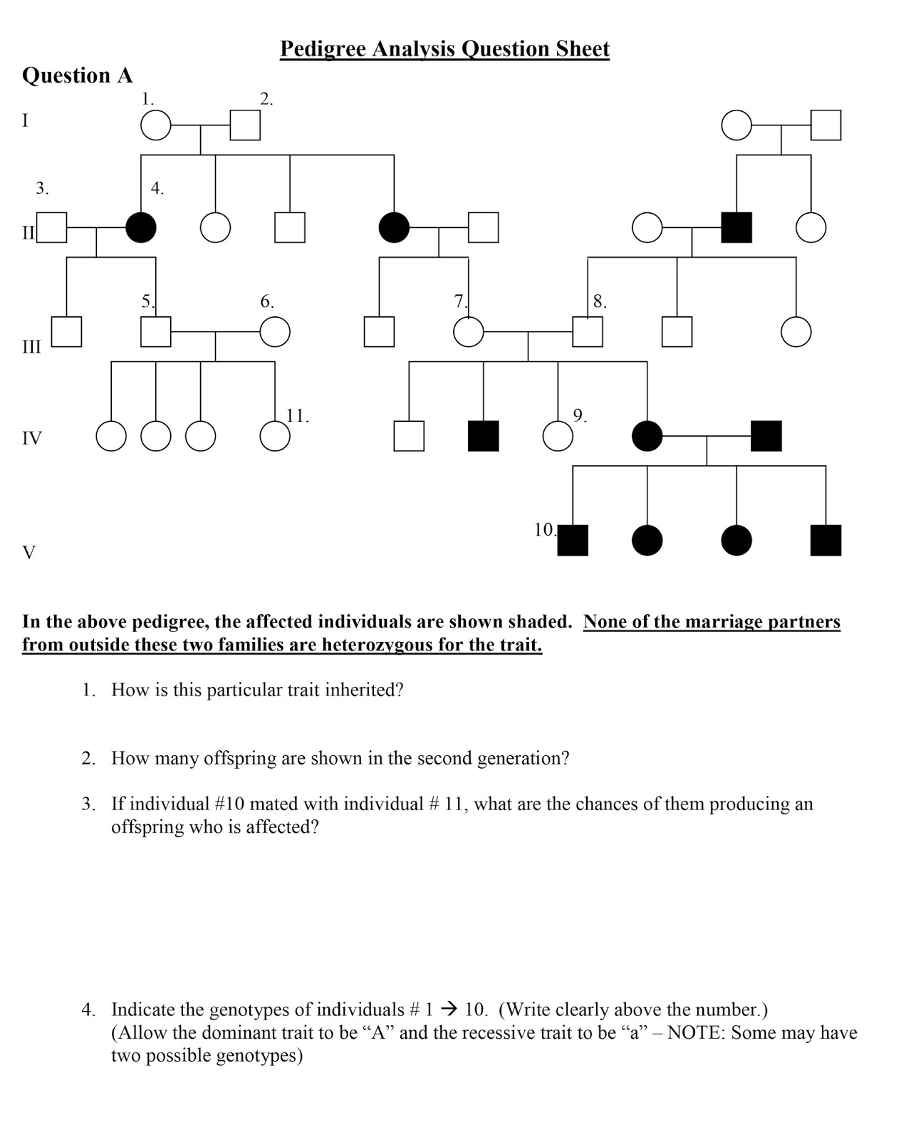 Worksheet Of Pedigree