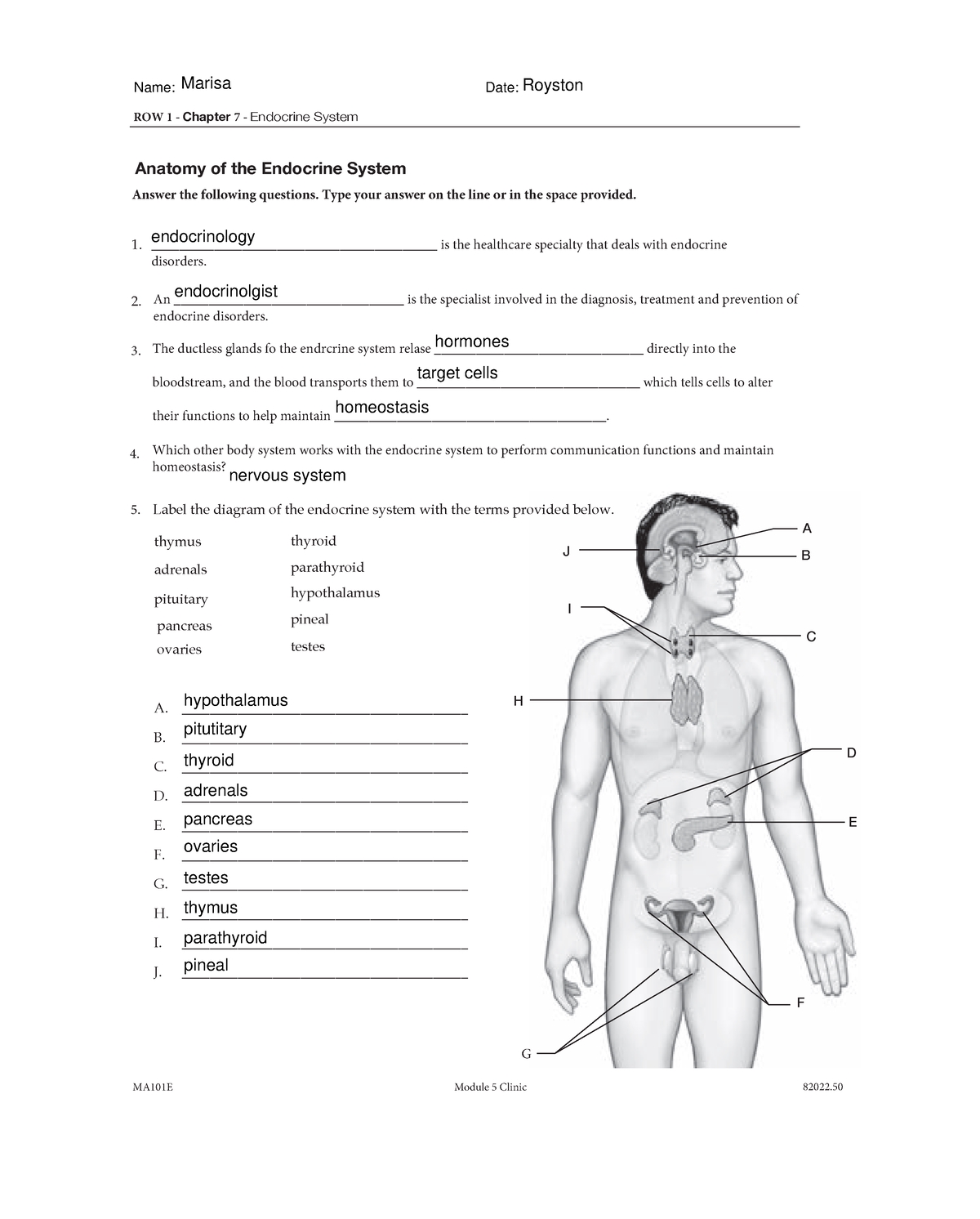 7 Ways to Learn the Endocrine System Fast