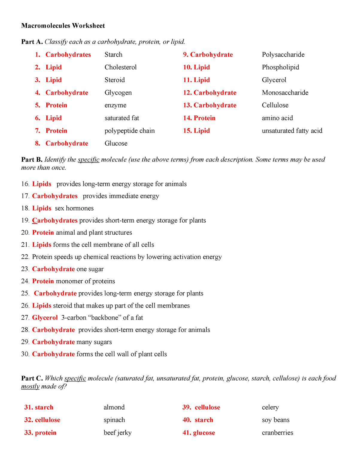 Exploring Macromolecules Worksheet for Biology Students