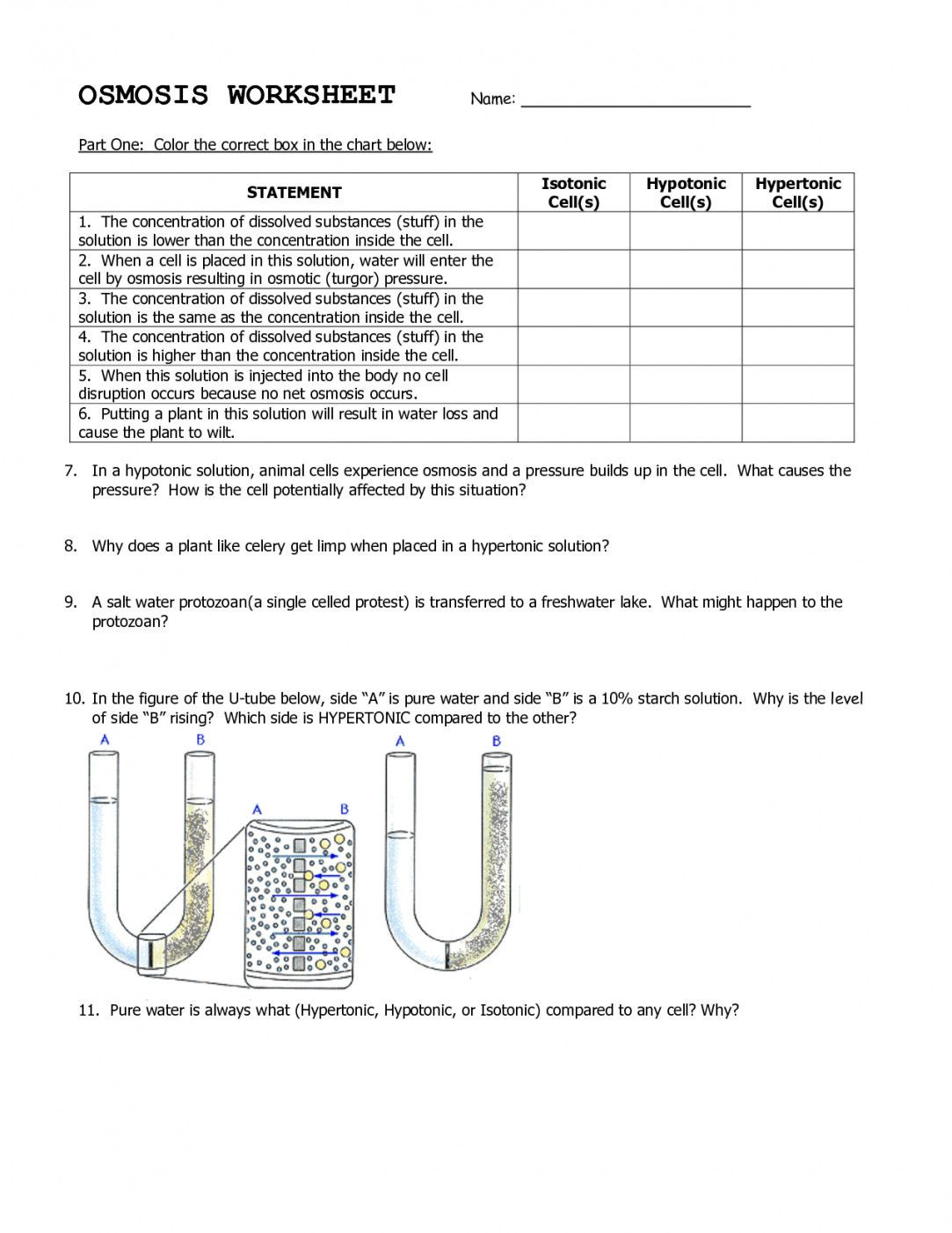 Osmosis and Diffusion Worksheet for Biology Students