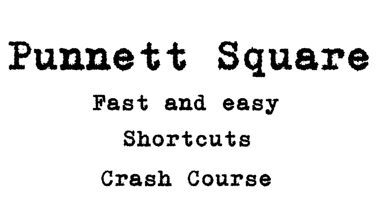 Mastering Punnett Squares Made Easy