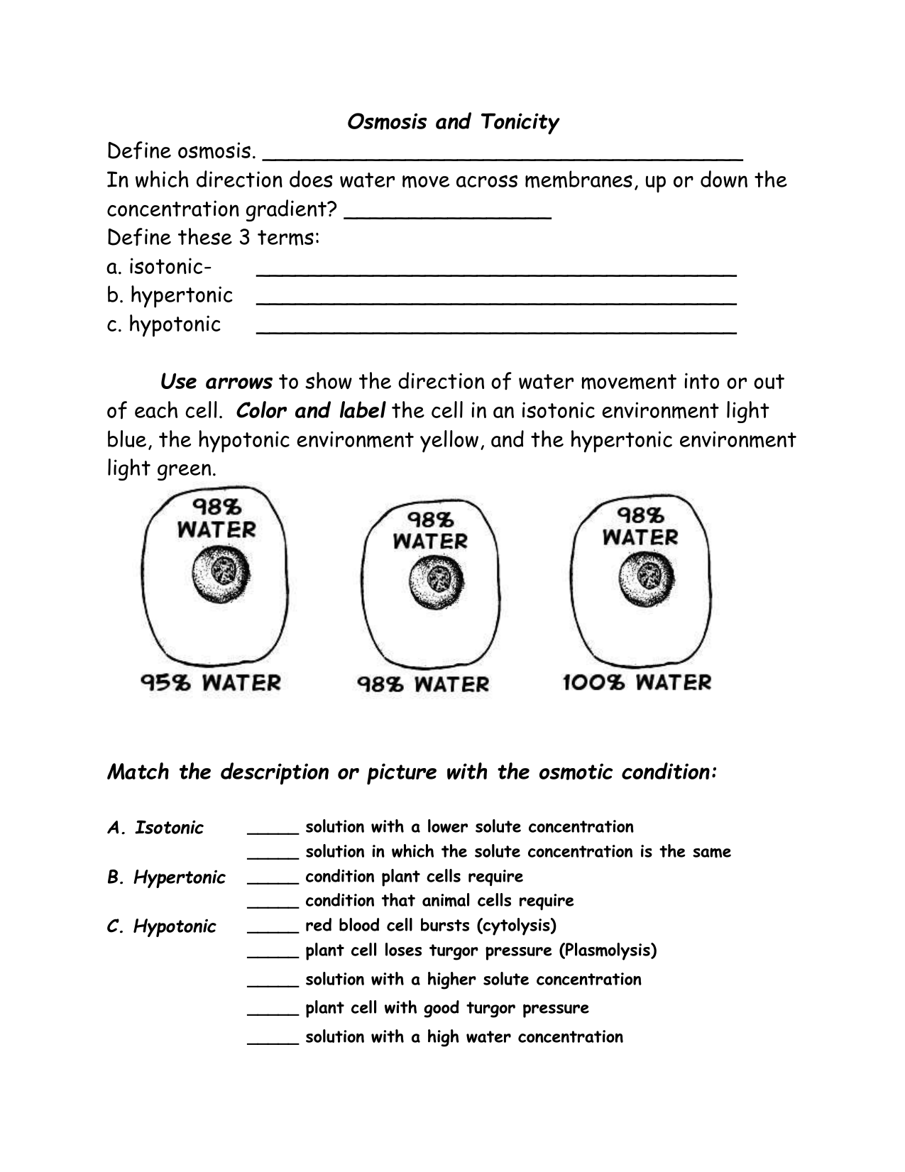 Osmosis and Tonicity Worksheet Made Easy