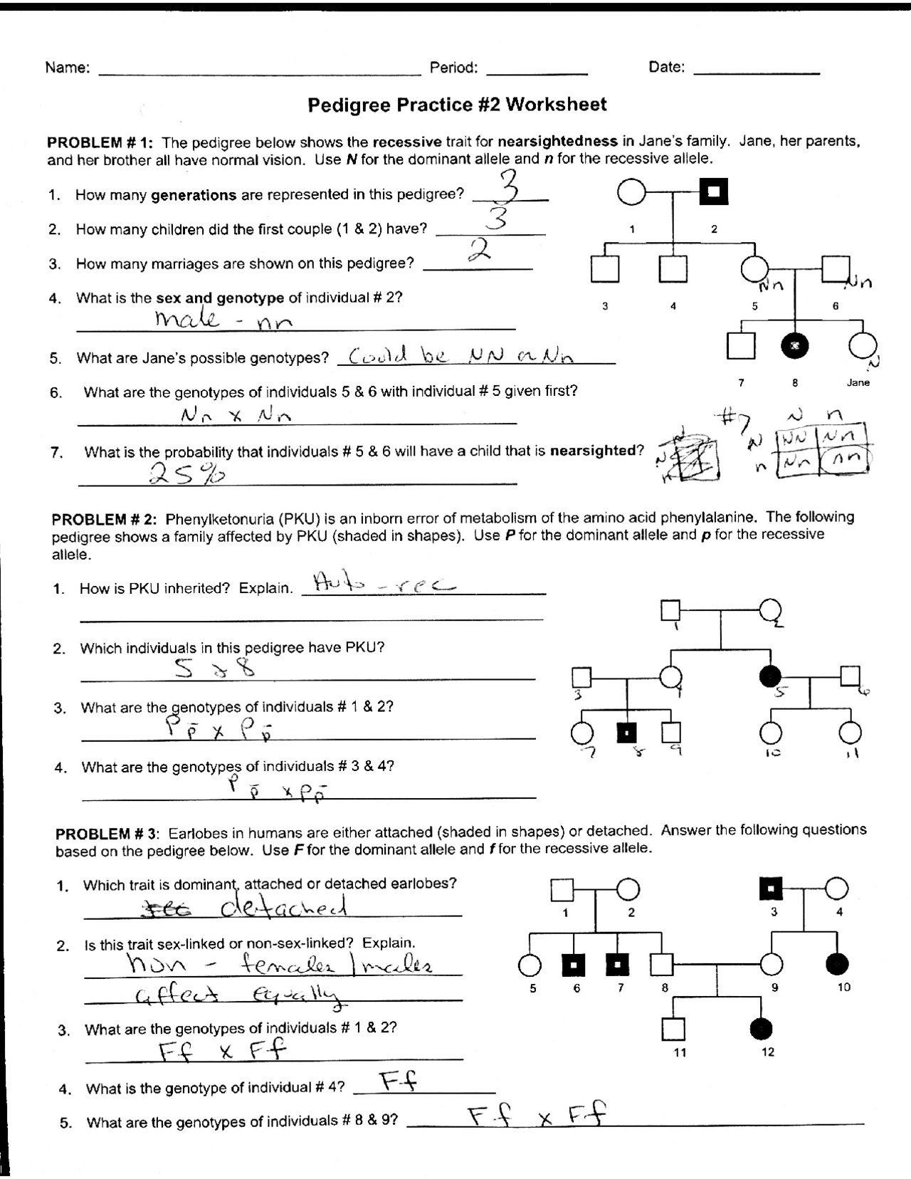 Worksheet Pedigree Practice With Answer Key Docsity