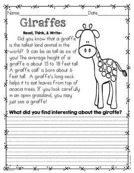 Fun Writing Worksheets for 1st Grade Students