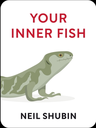 5 Key Takeaways from Your Inner Fish Video